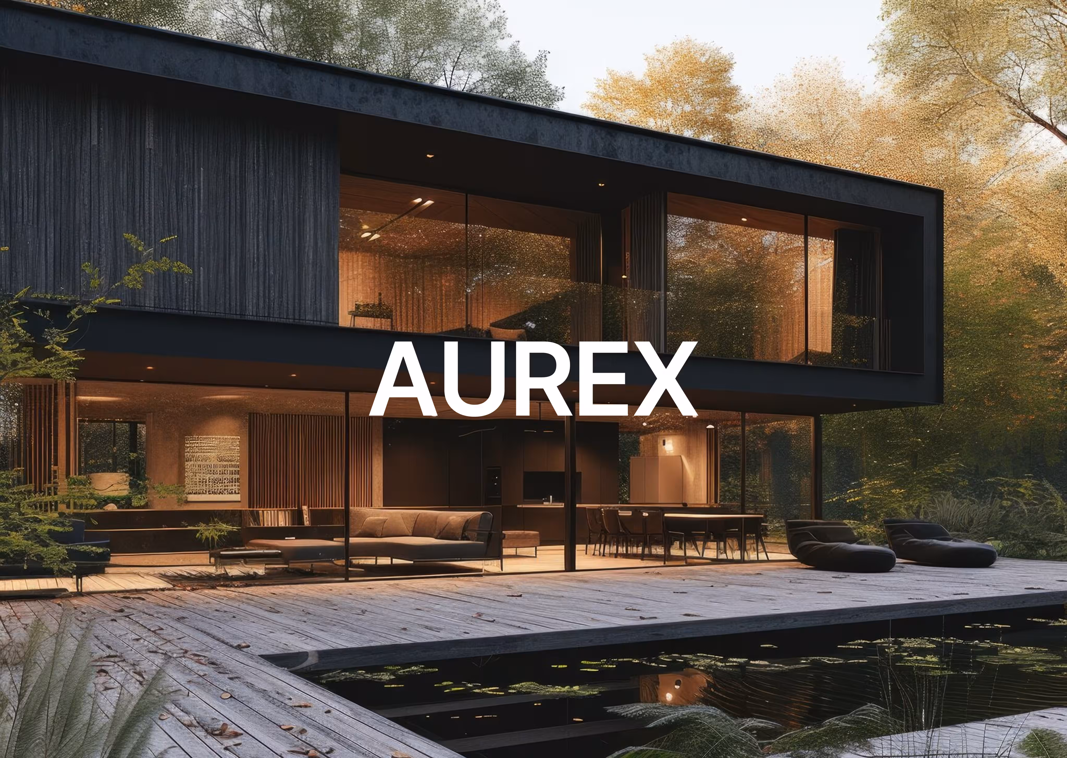 Aurex Portfolio